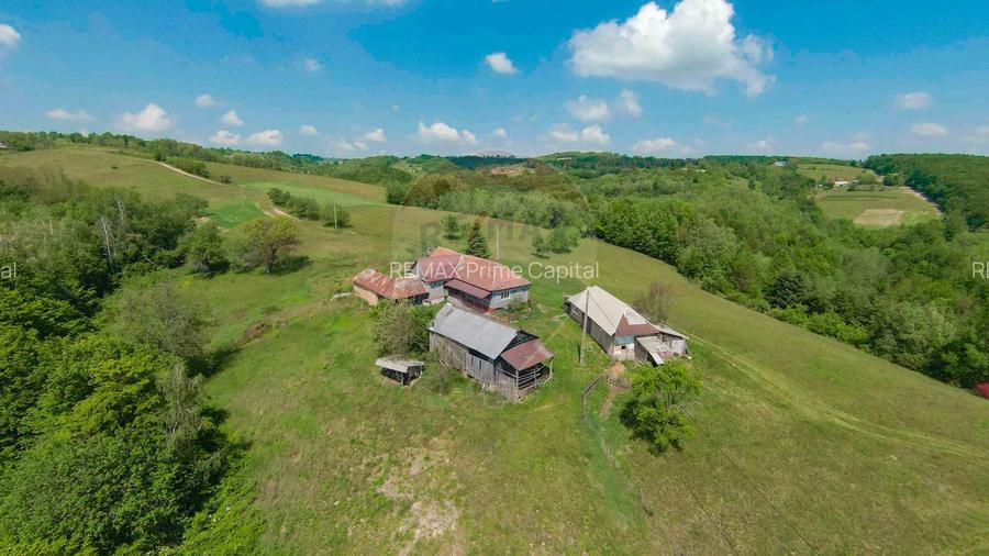De vânzare casă cu teren și pădure 55706 mp - Șinteu, Valea Târnei - 20