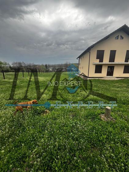 Teren intravilan de vânzare la ieșire din Petresti - 3