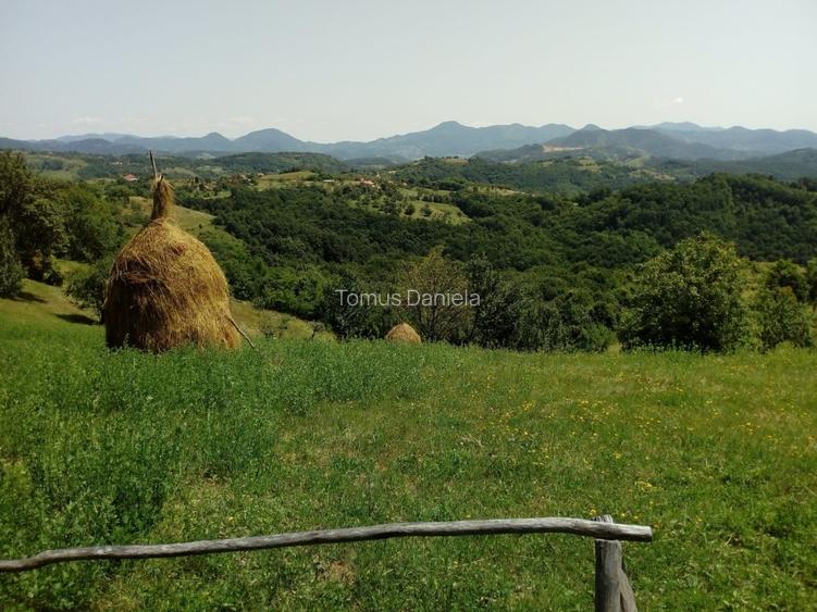Teren de vânzare cu casă în Apuseni - 8