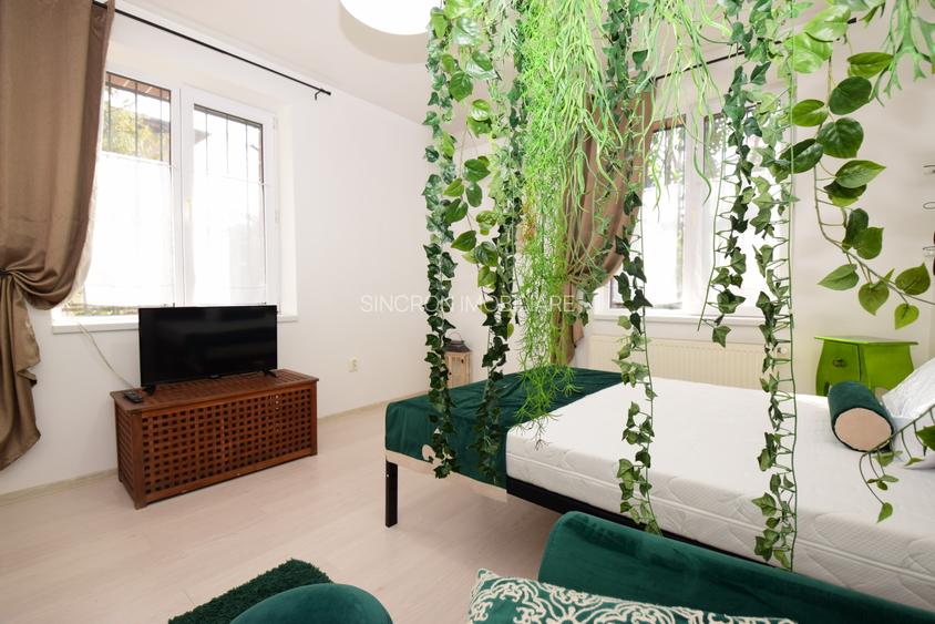 Garsonieră cu centrală proprie, grădină, Baba Novac - 2