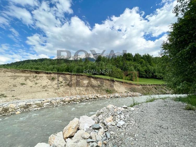 COMISION 0%! Teren superb la Plaiul Foii, pe malul Barsei - 10