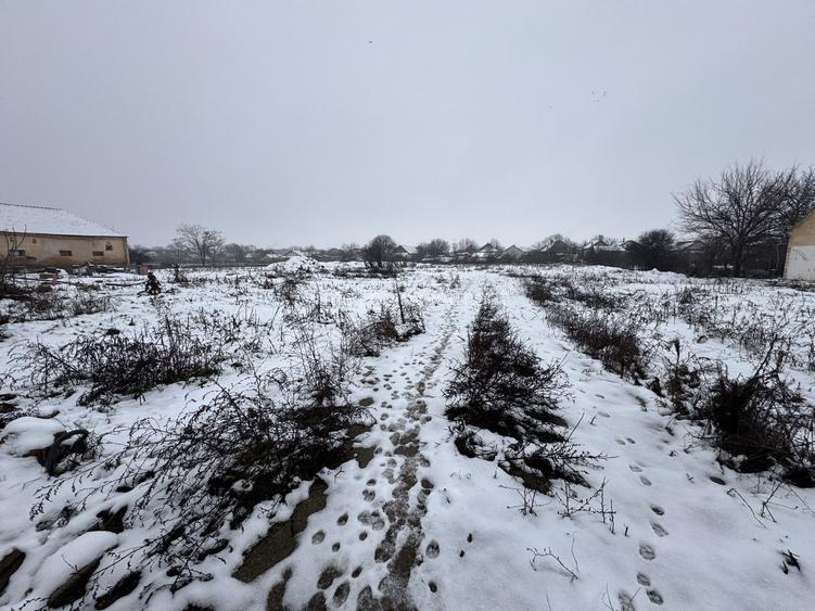 Teren Intravilan Becicherecu Mic 3200mp,F.S 40ml la DN6,Utilitati - 3