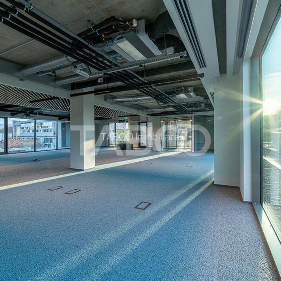 Birouri premium in Sibiu–Spatii flexibile moderne pentru companii - 4