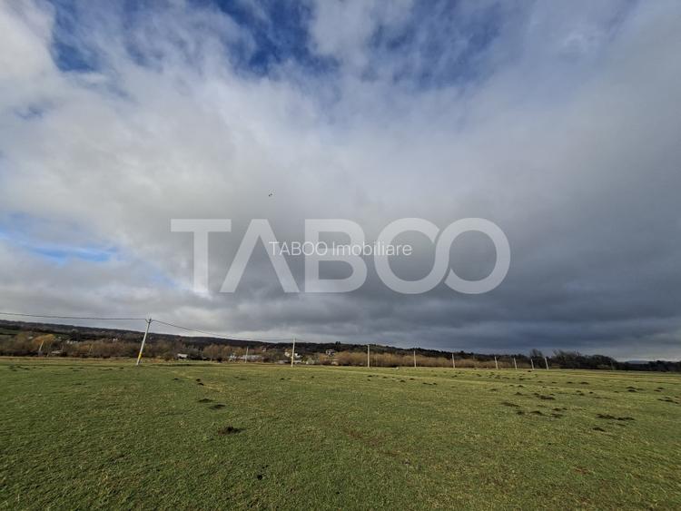 Teren intravilan de vanzare in Rasinari zona Calinis - 890 mp - 4