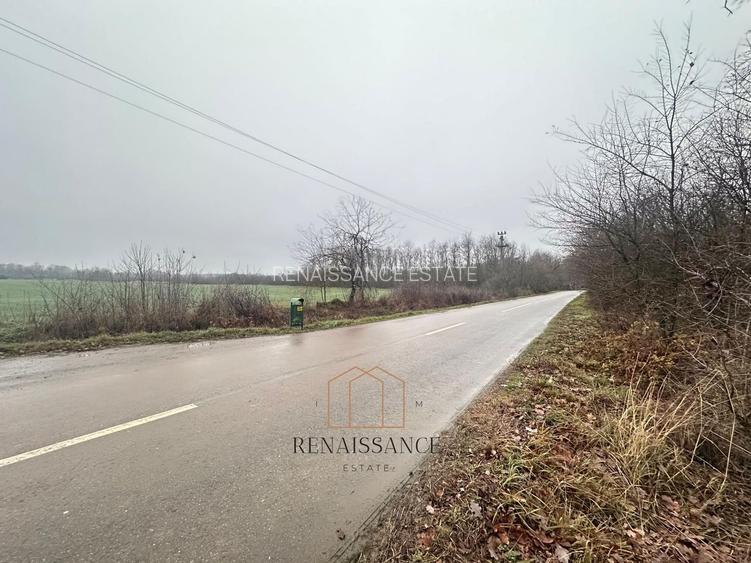 Giroc Teren 30.000mp PUZ APROBAT Pentru Case | Asfalt - Langa Padure - 2