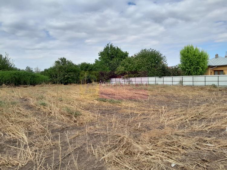 Movilita (IL)-teren de inch. 1800 mp stradal, 30 ml desch, langa Profi - 14