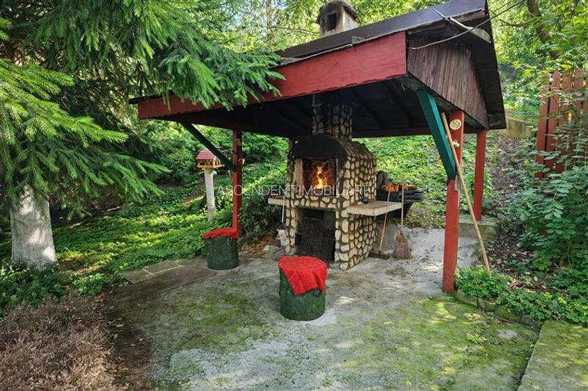 Tur LIVE!Casa cu arhitectura traditionala, curte spatioasa,foisor,Rucar. Bran - 10