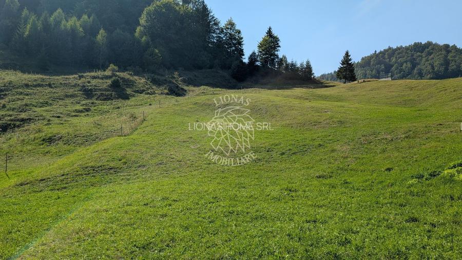 Oportunitate!Teren intravilan 61.38400mp-Parcelabil-utilitati-Colibita - 2