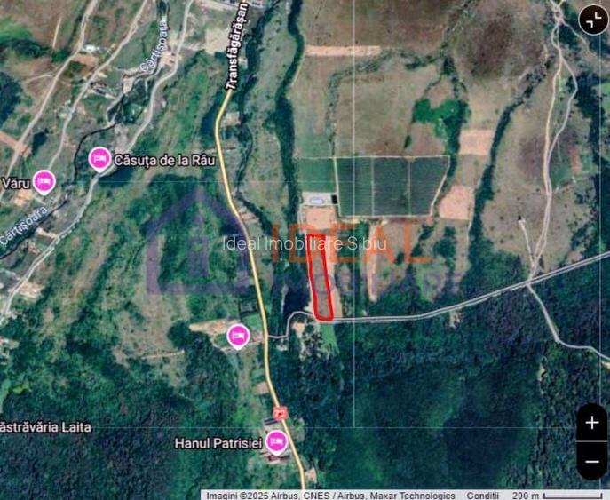 Teren extravilan 6.500 mp – două căi de acces, Cârțișoara - 7