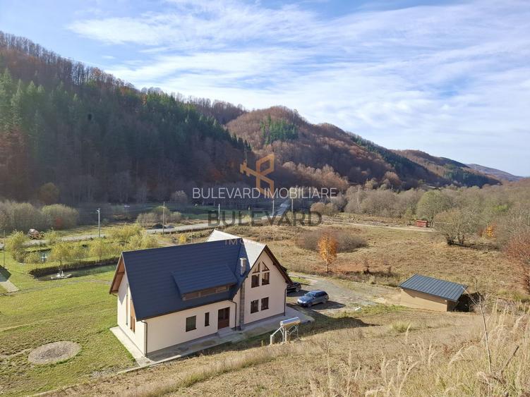 Proprietate cu potențial turistic în zona montană a Țării Lăpușului - 35