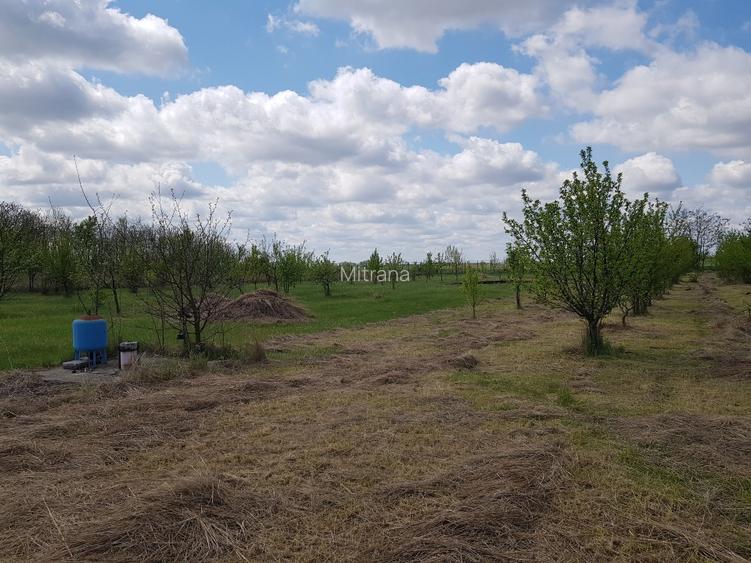 VISUL TĂU LA ȚARĂ, LA DOAR 60 KM DE BUCUREȘTI! Teren intravilan 8402 mp + Casă  - 10