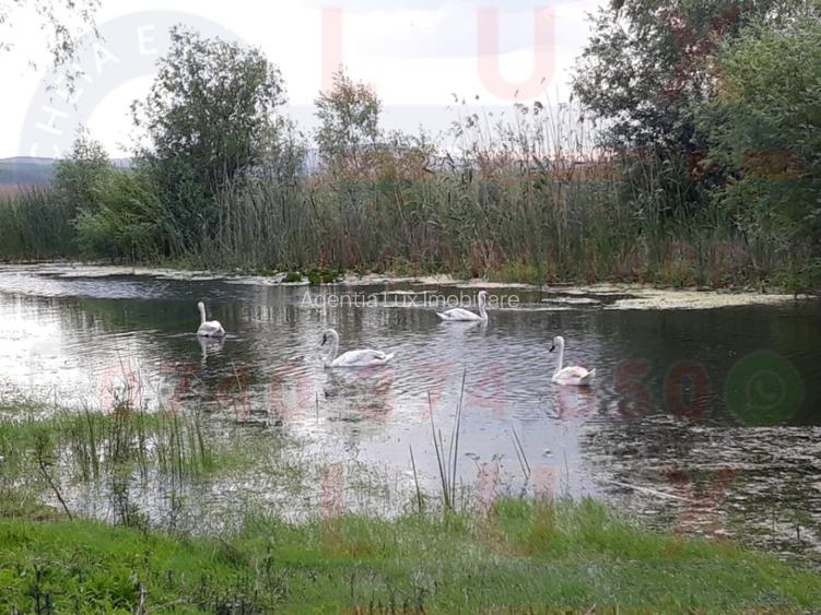 ID 7563 Teren Sat MINERI cu DESCHIDERE la LACUL CASLA - 4