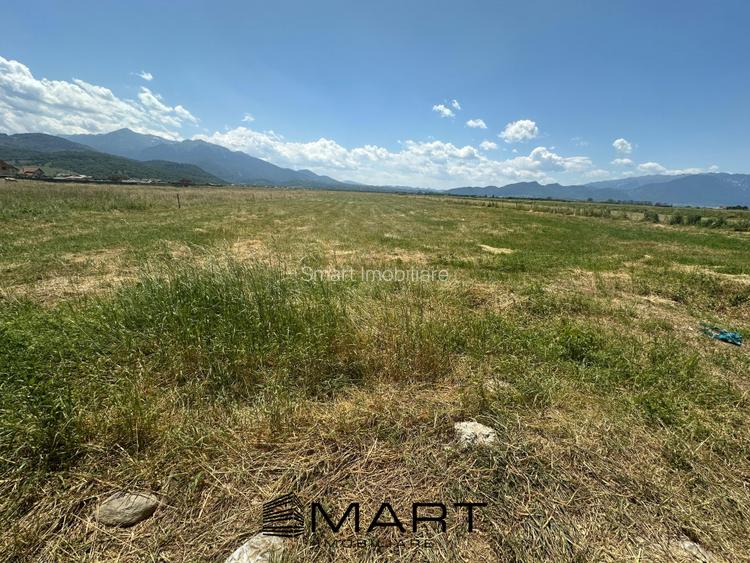 Teren Intravilan Rasnov 7.500 mp - 4