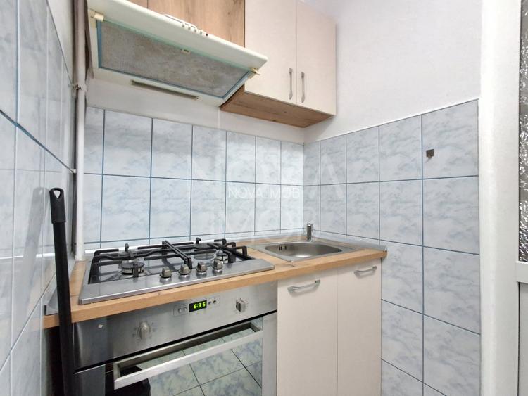 Garsoniera de inchiriat, Vasile Aaron - 4