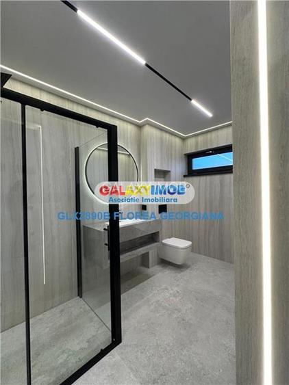 Vanzare casa superba Tunari - 28