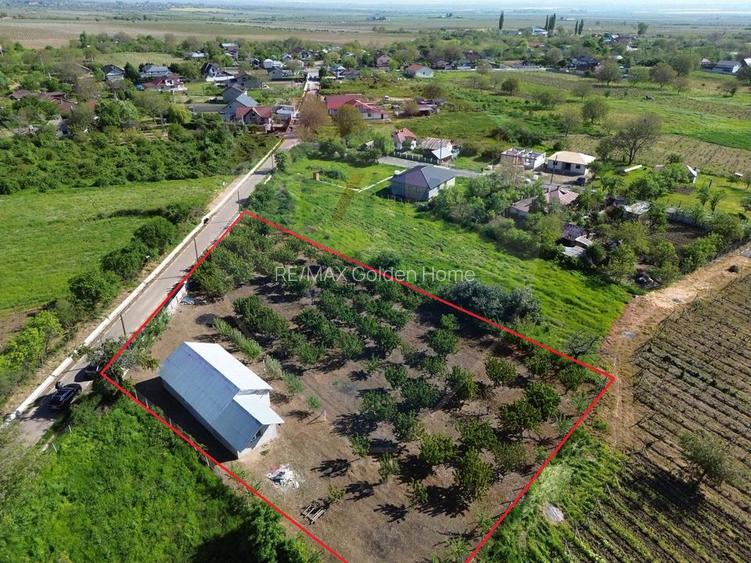 Casa cu 3094mp livada Cotesti - 7