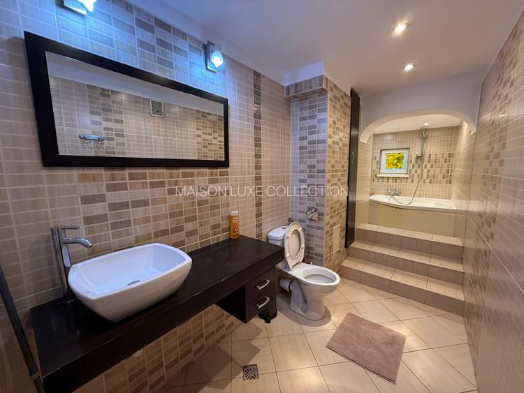 Apartament 2 camere Bulevardul Unirii- vis-a-vis Zepter, complet mobilat - 9