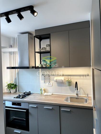 Garsoniera renovata modern str Nada Florilor - Teiul Domnei - 11