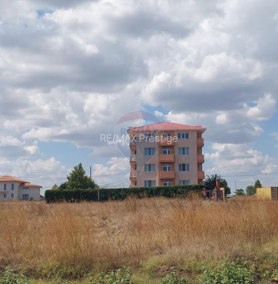 Teren de vis pe malul mării, Goflful Francezului, Costinesti - 2