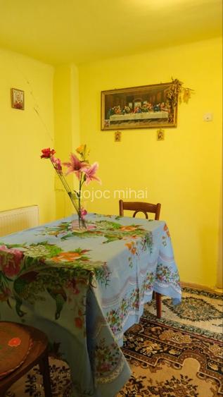 Tartasesti – casa si teren 2.000 mp de vanzare - 11