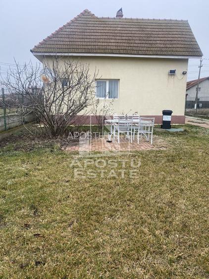 Casa individuala in Remetea Mare cu 1219 mp de teren - 16