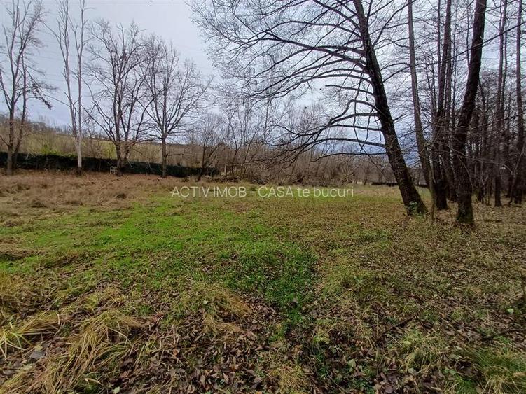 Resita, Teren Drept Intravilan, Langa Prau si Drum, Parcelabil, 4500 Mp., 15 Eur - 12