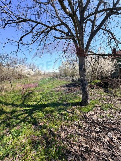 Teren 3,700mp Dobriceni / Strada Sabin Balașa - 3