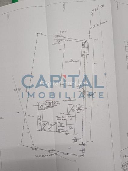 COMISION 0% - HALA + TEREN - 13