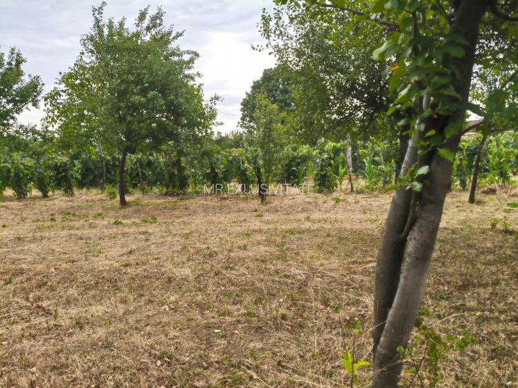 Terenuri intravilane alipibile în Runcu, zonă cu potențial - 2