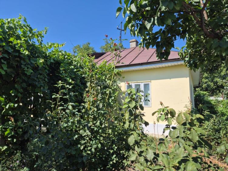 Vand casa batraneasca Cotesti, jud Vrancea - 4