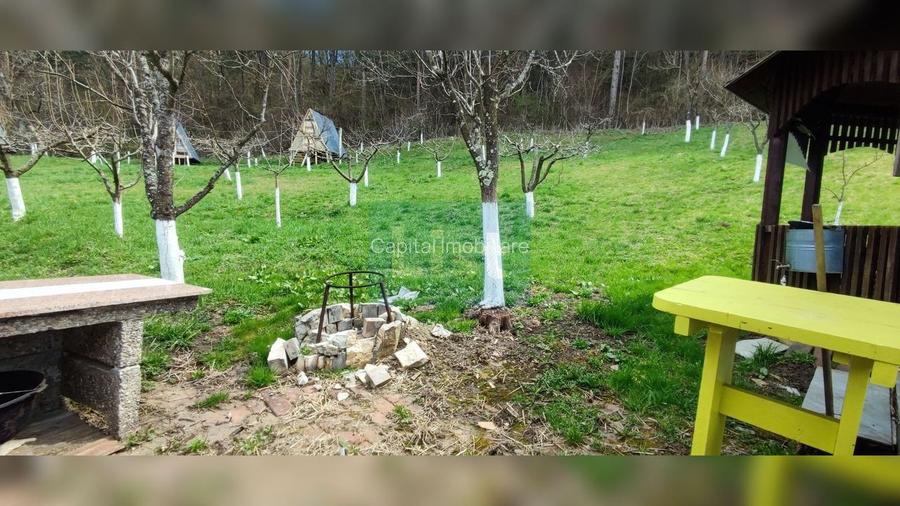 COMISION 0%! Casă 140 mp util, teren 4500 mp, PET FRIENDLY, Micești - 29