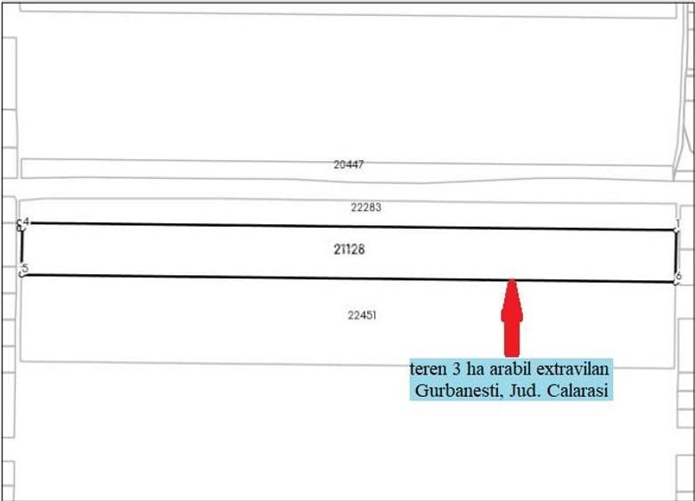 Vând teren arabil (3 ha) în Gurbănești, jud. Călăr - 3
