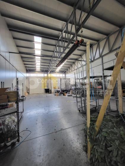 Hala 300mp+birouri 50mp - 6