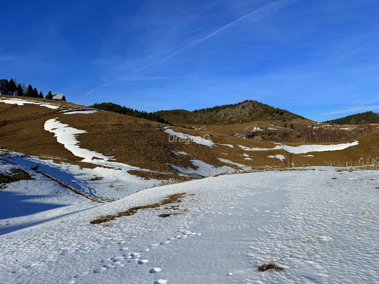 Teren intravilan 8400 mp, Fundata, zona Bran -  Moieciu - 10