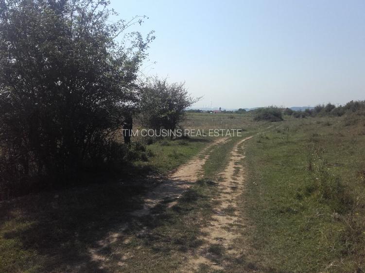 Teren, loc de casă, vânzare 3500 mp Cornesti-Bălești-Gorj, 2 euro mp - 8