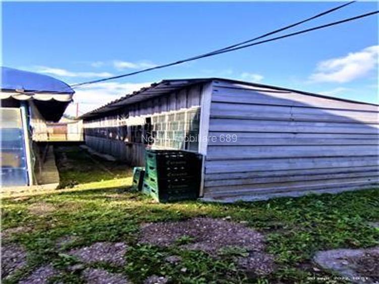 Spatiu Comercial -MARKET COMUNA / MAGAZIN MIXT/ HALA ptr.business de vanzare /in - 6