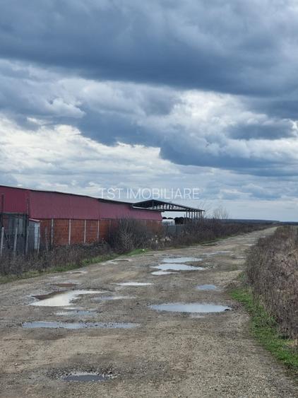 Teren in Amati ideal pentru investitie - 3