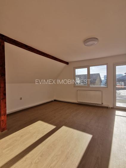 COLENTINA -Dobroesti 5 Camere Vila La Curte - 16