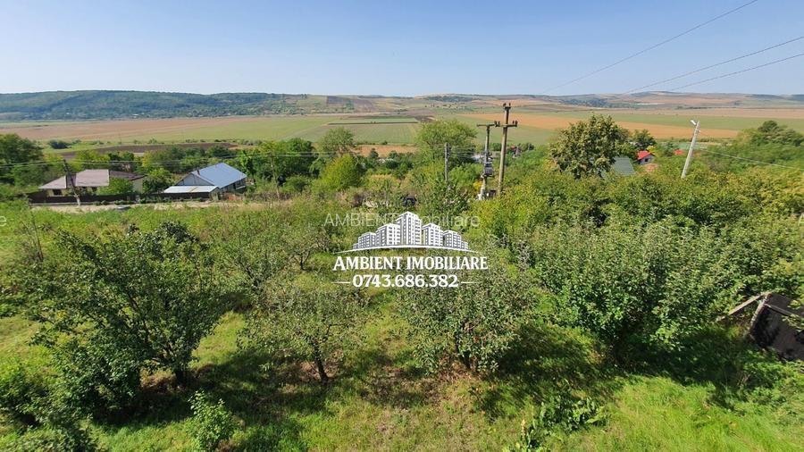 CASĂ individuală P+M cu teren 4.400 mp, zona CĂNȚĂLĂREȘTI; - 11