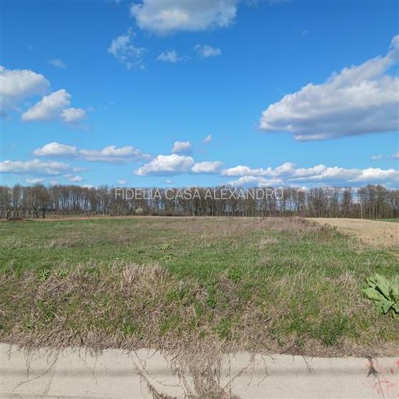 Teren pentru constructii case  de vanzare Iasi, Poiana cu Cetate, - 2