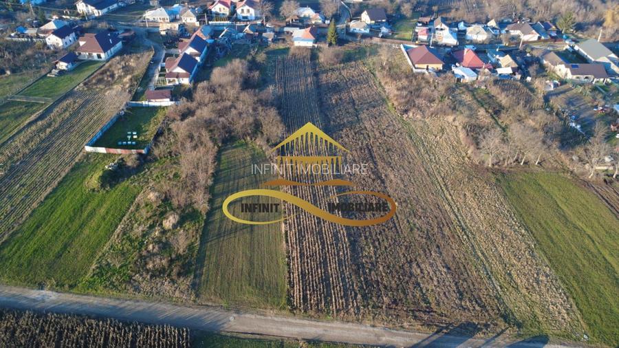 TEREN DE VANZARE - 5