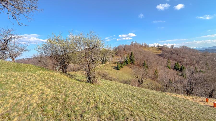 Refugiu de poveste în inima naturii | 12.000 mp în Holbav | Proiect început - 3