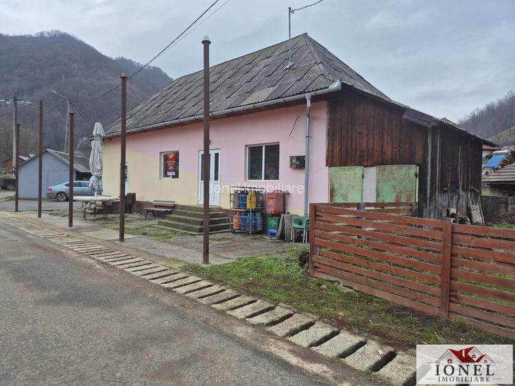 Casa de vanzare in Zlatna-Trimpoiele - 7