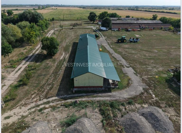 Spatiu multifunctional Salonta - 4