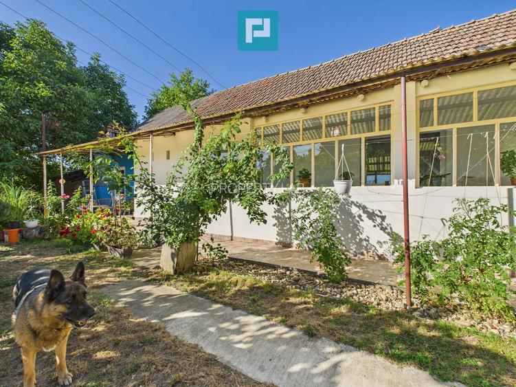 Casă 4 camere centru Vinga - 2