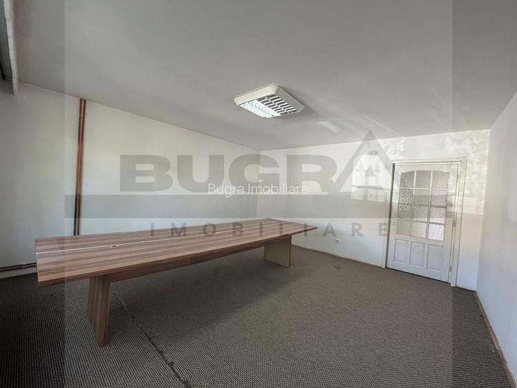 Casa individuala pentru BIROURI, 240mp, 6 camere,zona strazii S Albini - 5