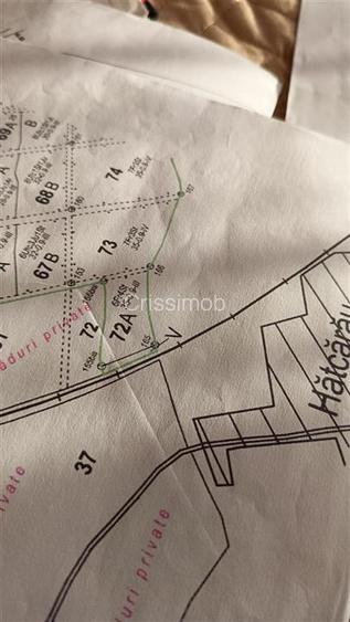 Padure de vanzare zona Comuna Draganesti sat Hatcarau - 9