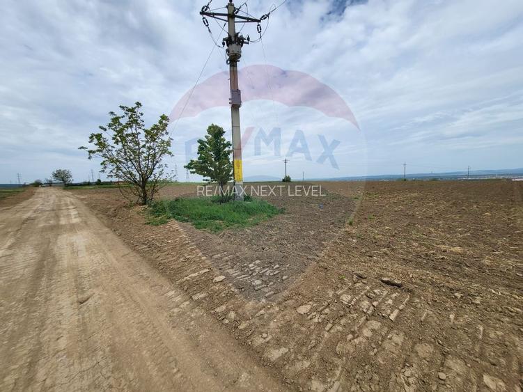 Teren in Magura/Bacau de vanzare - 4