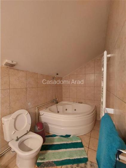 Imobil pentru pensiune sau alte activitati in Pischia - 16