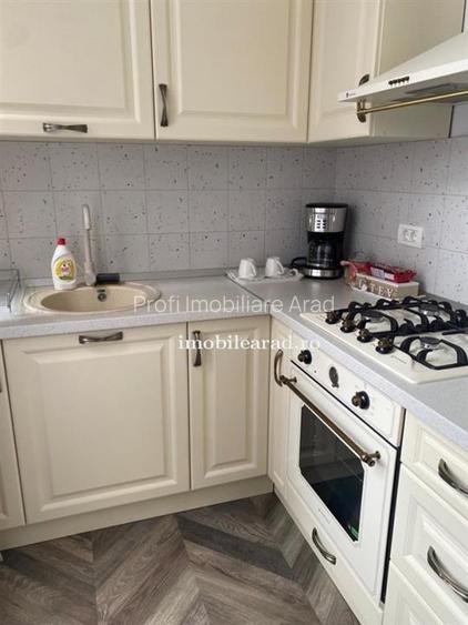 Apartament 60 Euro pe zi, amenajat in stil unic langa Primaria Arad - 11